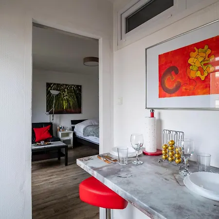 Petit Oasis à Apartamento Estrasburgo