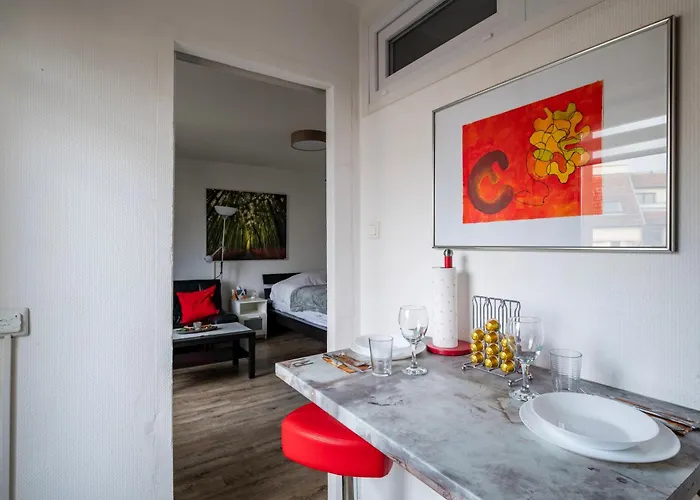 Petit Oasis A Appartement Straatsburg