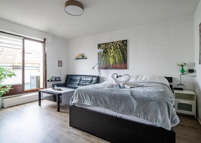 Lägenhet Petit Oasis A Strasbourg
